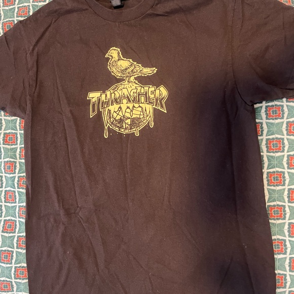 Thrasher Other - Thrasher x Antihero Cover the Earth